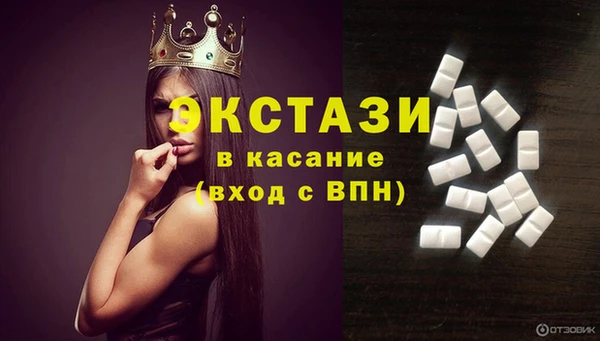 индика Новозыбков