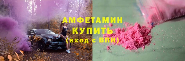 индика Новозыбков