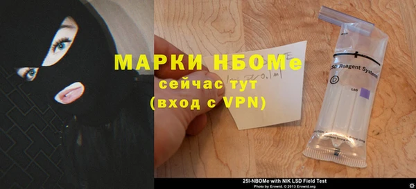индика Новозыбков