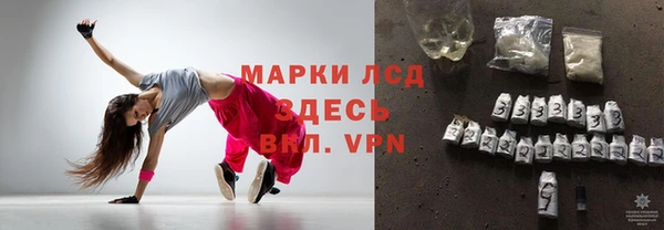 ПСИЛОЦИБИНОВЫЕ ГРИБЫ Новодвинск