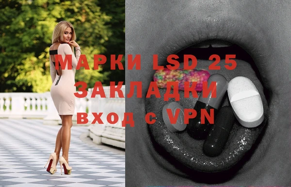 индика Новозыбков