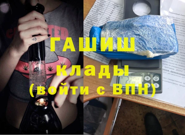 индика Новозыбков
