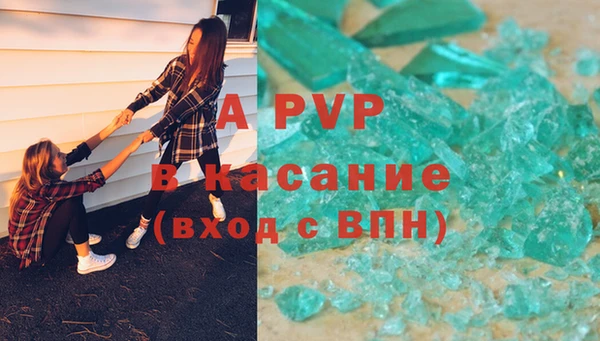 индика Новозыбков