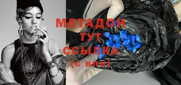 индика Новозыбков