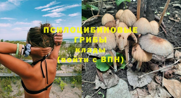 ПСИЛОЦИБИНОВЫЕ ГРИБЫ Новодвинск