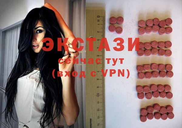 индика Новозыбков
