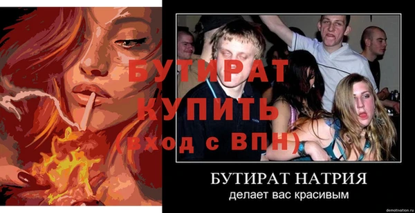 индика Новозыбков