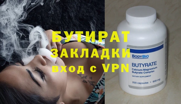 индика Новозыбков