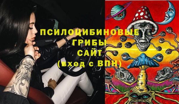 амф Верея