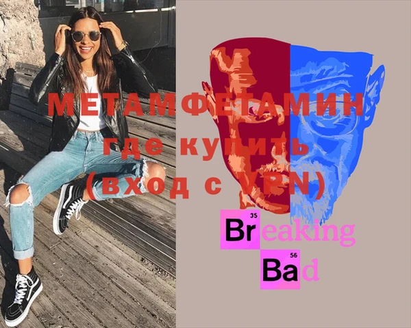 индика Новозыбков
