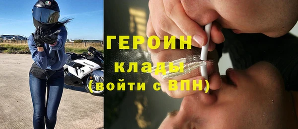 индика Новозыбков