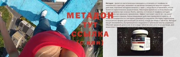 индика Новозыбков